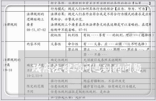 政府法律顾问遇到的问题/2023071462704