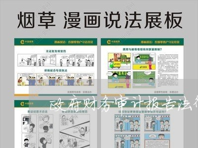 政府财务审计报告法律意见书