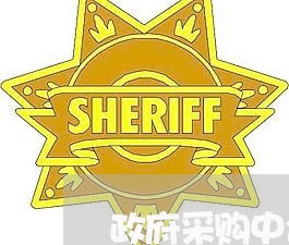 政府采购中合同录入怎么写/2023011668471 政府采购中合同录入怎么写/2023011668471