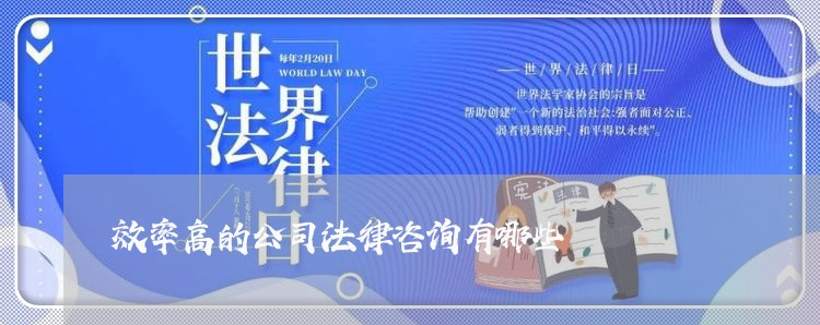 效率高的公司法律咨询有哪些