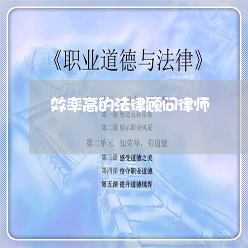 效率高的法律顾问律师/2023061984927