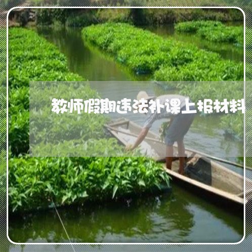 教师假期违法补课上报材料