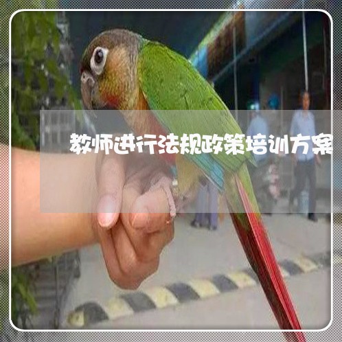 教师进行法规政策培训方案