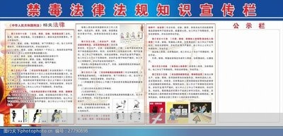 教育法规对高校作用
