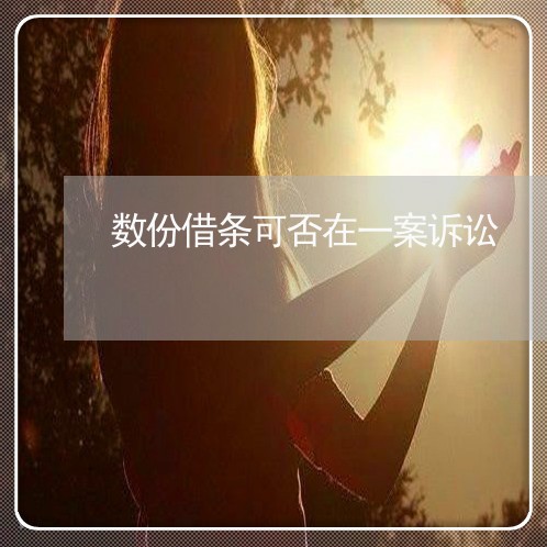 数份借条可否在一案诉讼