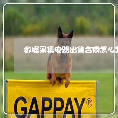 数据采集电路出售合同怎么写/2023041138372 数据采集电路出售合同怎么写/2023041138372