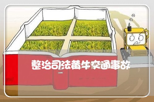 整治司法黄牛交通事故