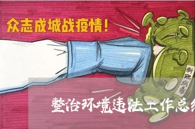整治环境违法工作总结 整治环境违法工作总结