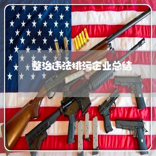整治违法排污企业总结
