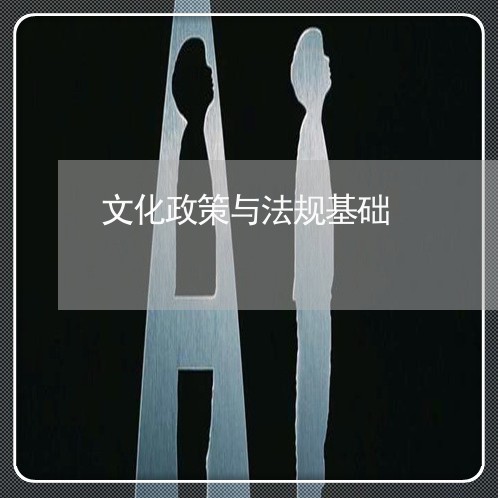 文化政策与法规基础 文化政策与法规基础