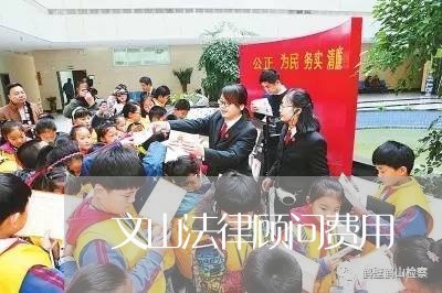 文山法律顾问费用 文山法律顾问费用