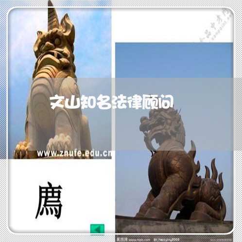 文山知名法律顾问/2023061716159