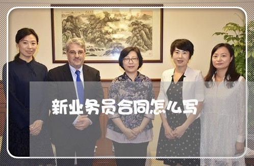新业务员合同怎么写/2023011657502 新业务员合同怎么写/2023011657502