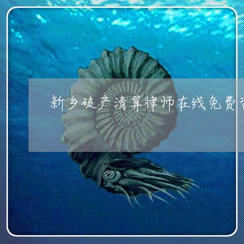 新乡破产清算律师在线免费咨询 新乡破产清算律师在线免费咨询