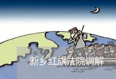 新乡红旗法院调解