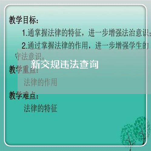 新交规违法查询