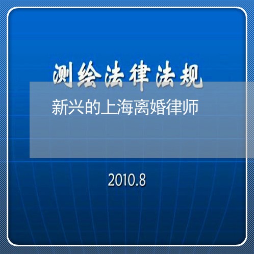 新兴的上海离婚律师/2023032494818 新兴的上海离婚律师/2023032494818