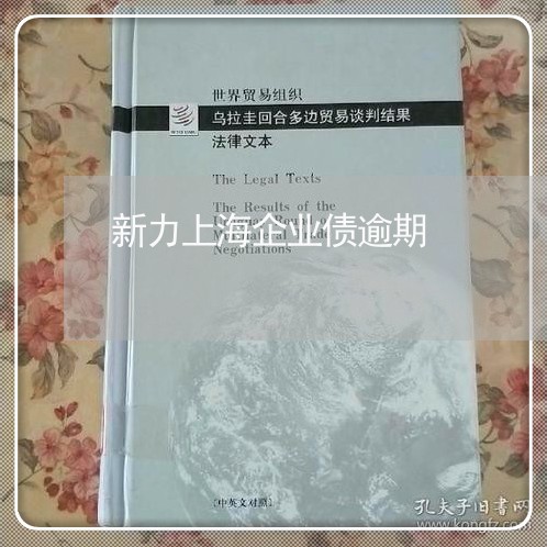 新力上海企业债逾期/2023102536572