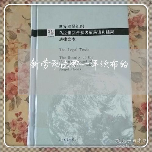 新劳动法哪一年颁布的 新劳动法哪一年颁布的