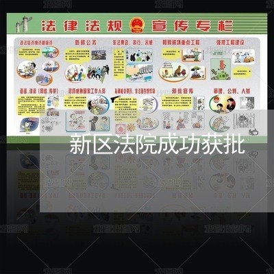 新区法院成功获批