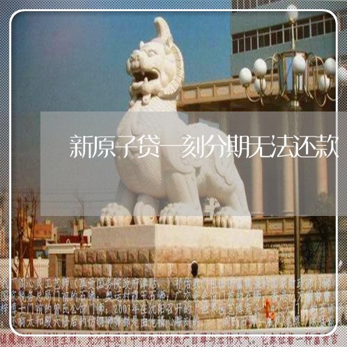 新原子贷一刻分期无法还款 新原子贷一刻分期无法还款