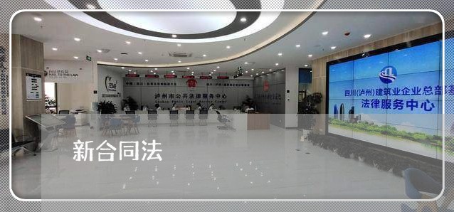 新合同法 新合同法