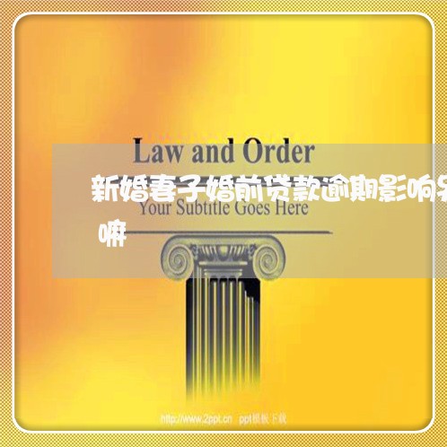 新婚妻子婚前贷款逾期影响另一方贷款信誉嘛