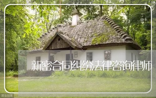 新密合同纠纷法律咨询律师