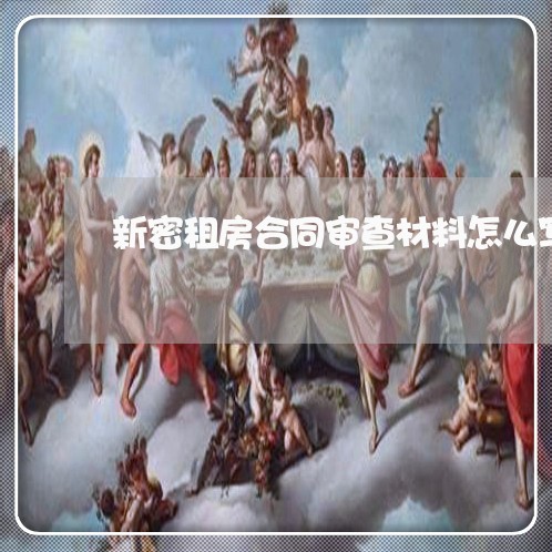 新密租房合同审查材料怎么写/2023041351926 新密租房合同审查材料怎么写/2023041351926