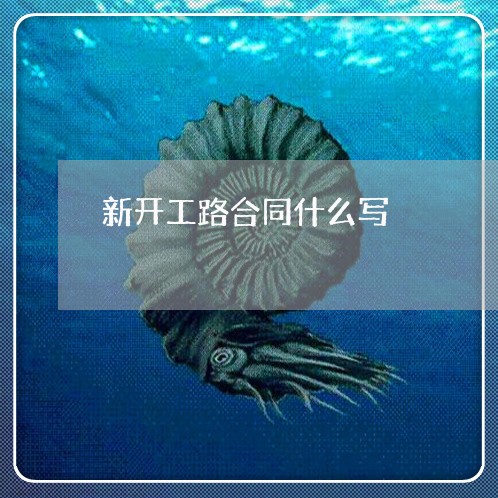 新开工路合同什么写/2023022663958