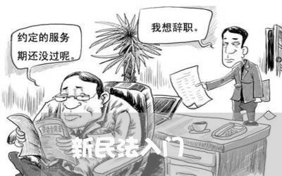 新民法入门 新民法入门