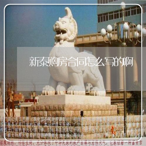 新泰购房合同怎么写的啊/2023040430261 新泰购房合同怎么写的啊/2023040430261