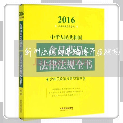 新洲法院向某赌博开庭现场