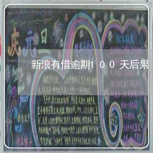 新浪有借逾期100天后果 新浪有借逾期100天后果