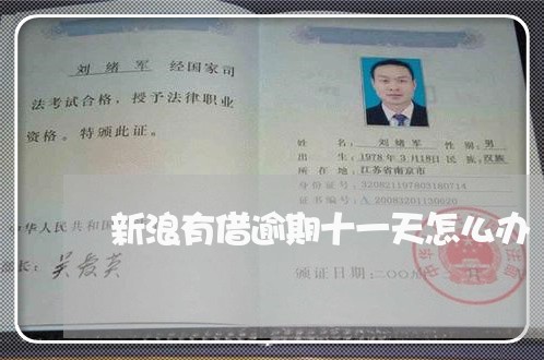 新浪有借逾期十一天怎么办 新浪有借逾期十一天怎么办