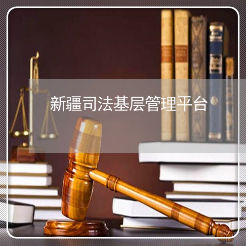 新疆司法基层管理平台 新疆司法基层管理平台