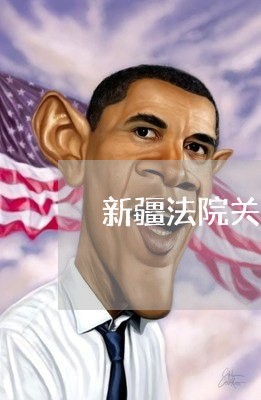 新疆法院关新中