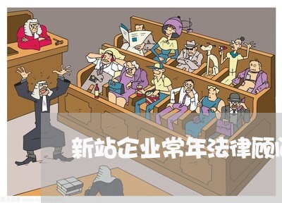 新站企业常年法律顾问服务/2023061959592