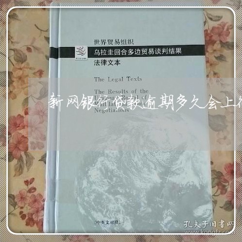 新网银行贷款逾期多久会上征信