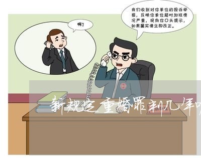 新规定重婚罪判几年呢离婚/2023060969470