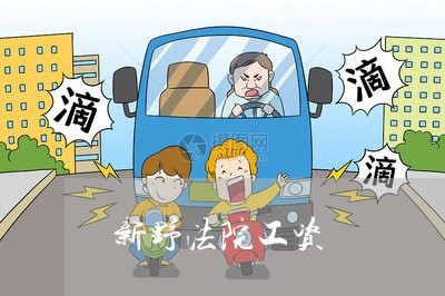 新野法院工资