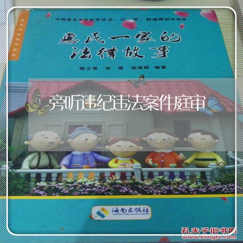 旁听违纪违法案件庭审