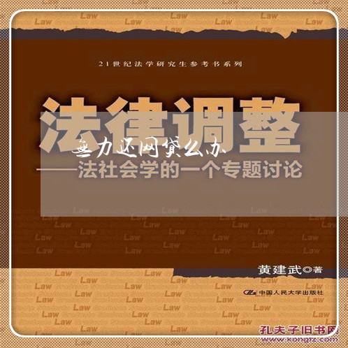 无力还网贷么办/2023112686925