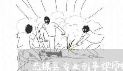 无棣县专业刑事律师哪里找