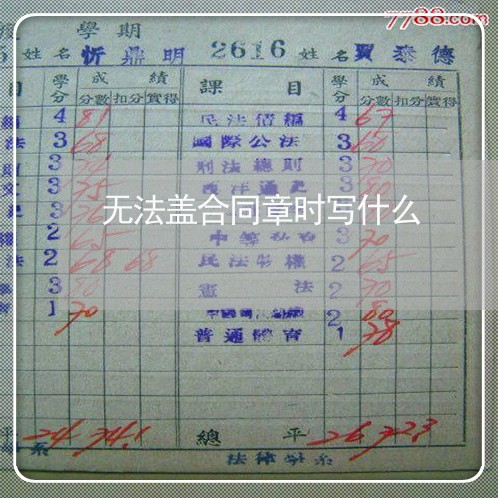无法盖合同章时写什么/2023011728049 无法盖合同章时写什么/2023011728049