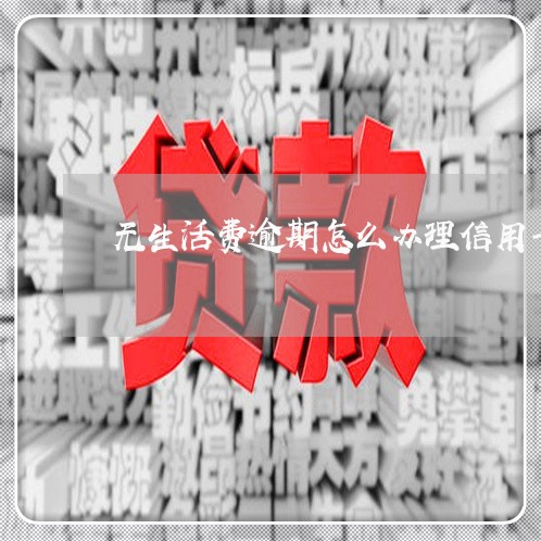 无生活费逾期怎么办理信用卡/2023060515046