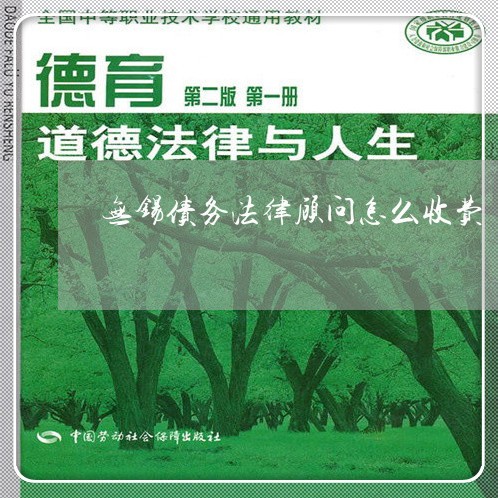 无锡债务法律顾问怎么收费/2023061716149 无锡债务法律顾问怎么收费/2023061716149