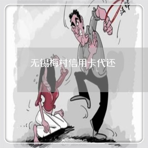 无锡梅村信用卡代还/2023090584137