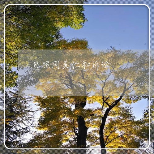 日照同美仁和诉讼