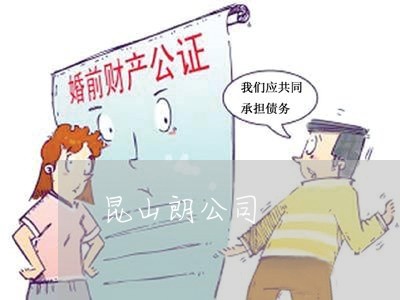 昆山朗公司 昆山朗公司